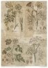 Zestaw papierów - Herbarium*Set of papers - Herbarium*Reihe von Papieren - Herbarium* Conjunto de papeles - Herbario* Conjunto de papeles - Herbario